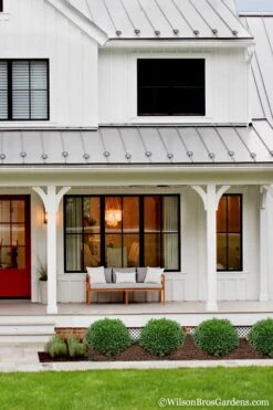 Korean Dwarf Boxwood - Buxus Sinica Var. Insularis 'Nana' - 1 Gallon Pot -Orchard Essence Boxwood Korean Dwarf Insularis Nana 4 1