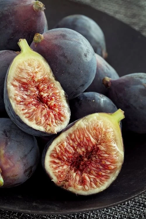 Chicago Cold Hardy Fig Tree - 2 Gallon Pot 3 Chicago Cold Hardy Fig Tree - 2 Gallon Pot