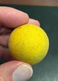 Flying Dragon Hardy Orange Tree - 7 Gallon Pot (5-6') (COPY) -Orchard Essence Orange Flying Dragon 6