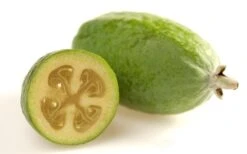 Pineapple Guava - Feijoa Sellowiana - 3 Gallon Pot -Orchard Essence Pineapple Guava Fruit