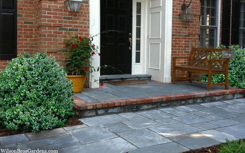 Gordo Boxwood - 5 Pack Of Quart Pots 8 Gordo Boxwood - 5 Pack Of Quart Pots - Image 6