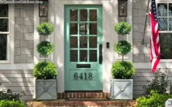 Green Mountain Boxwood 3-Ball Poodle Tier Topiary - 6 Gallon Pot -Orchard Essence buxus green mountain 3 ball topiary 20