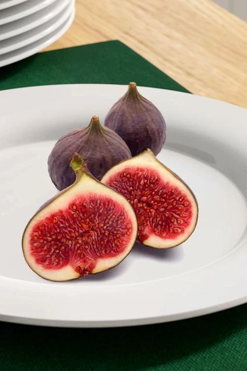 Texas Everbearing Fig Tree - 3 Gallon Pot 6 Texas Everbearing Fig Tree - 3 Gallon Pot - Image 4