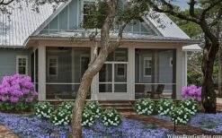 Snow Globe Gardenia - 1 Gallon Pot -Orchard Essence gardenia jasminoides snow globe 2 1